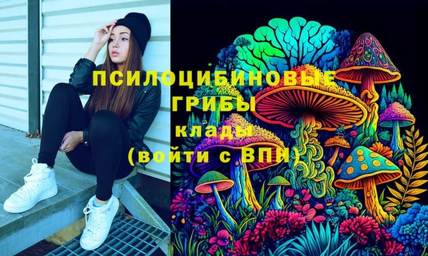 героин Алзамай