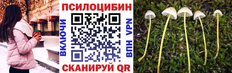 закладки  Когалым  ссылка на мегу зеркало  Галлюциногенные грибы GOLDEN TEACHER 