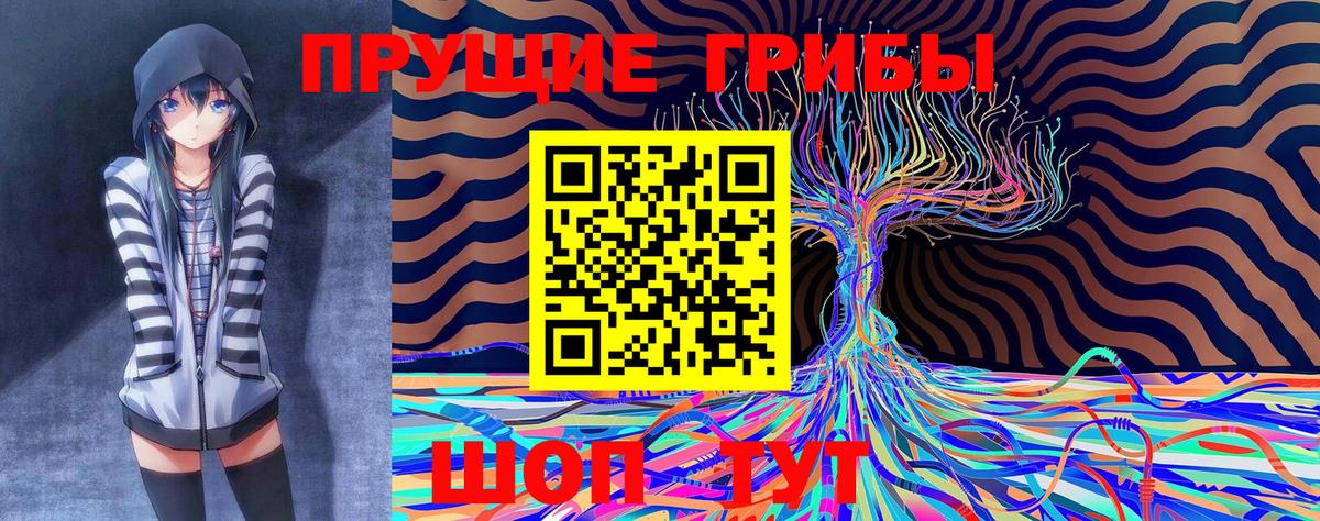 Когалым  Галлюциногенные грибы GOLDEN TEACHER  Вход с VPN 