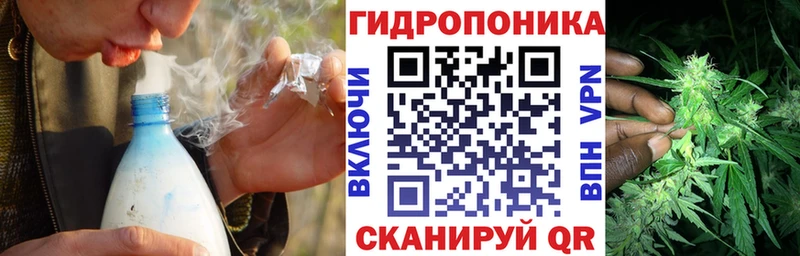 дарнет шоп Когалым Марихуана сатива
